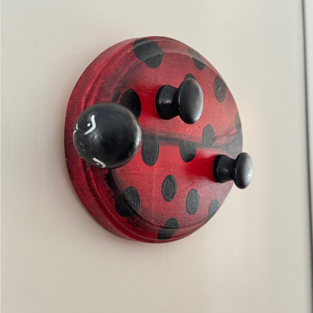 Handcrafted Wood Red and Black
Ladybug Wall Hook - Decorative
Home Accent